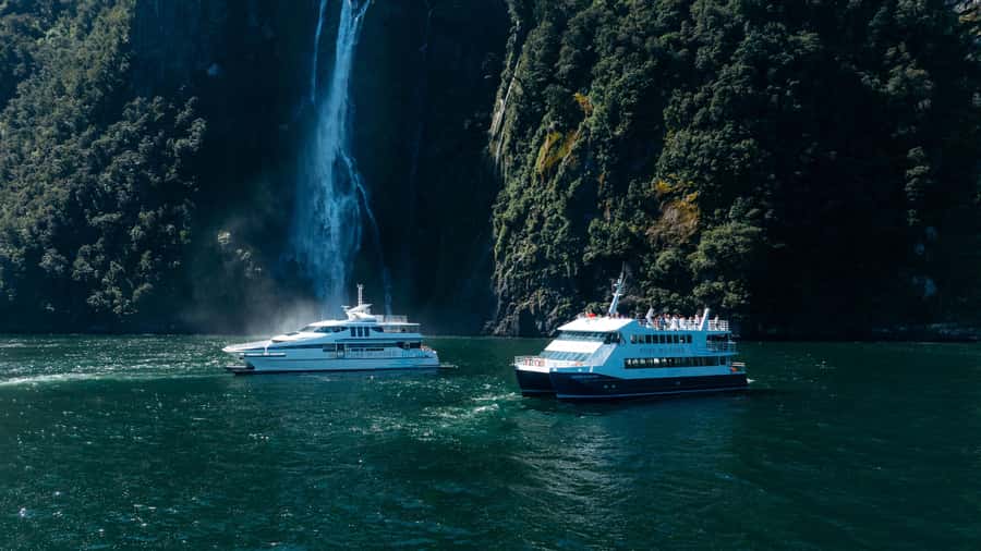 Milford Sound: Nature Cruise on a Modern Catamaran - Key points to know before you go