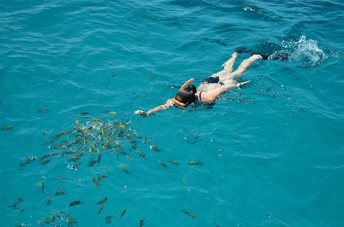 Montego Bay Catamaran Cruise and Snorkeling Tour from Falmouth - Margaritaville instead of a sandbar