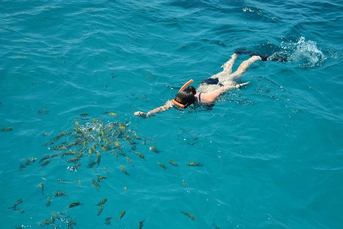 Montego Bay Catamaran Cruise and Snorkeling Tour from Falmouth - Who will enjoy this catamaran cruise?