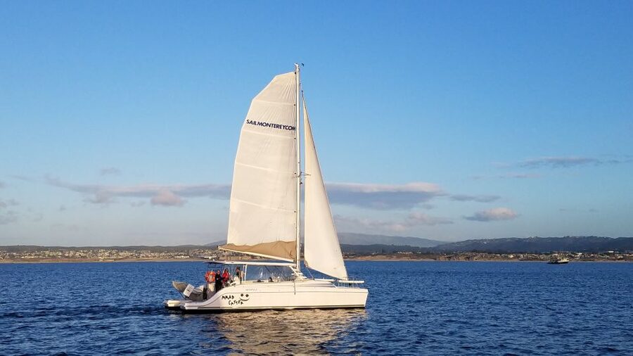 Monterey: Catamaran Sailing Cruise - Key points to know before you book