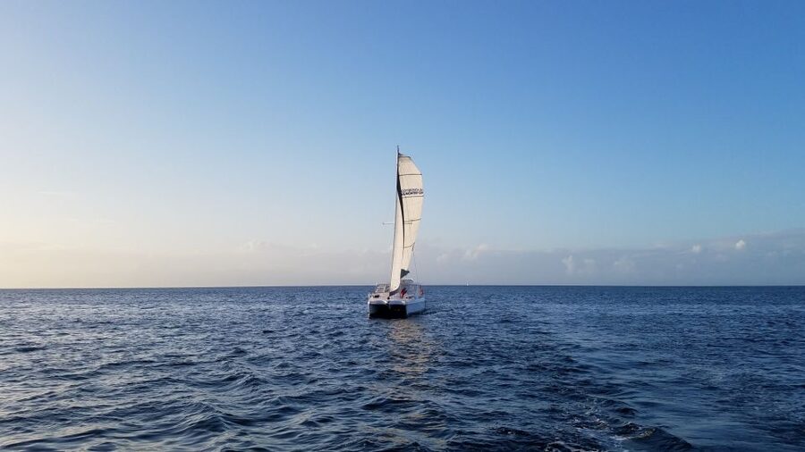 Monterey: Catamaran Sailing Cruise - How eco-friendly sailing changes the experience