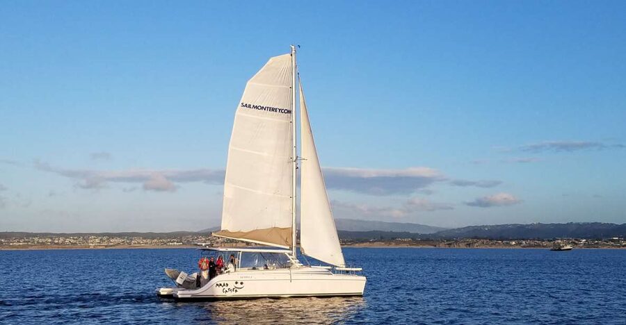 Monterey: Catamaran Sailing Cruise - The first 15 minutes: otters, sea lions, and the harbor