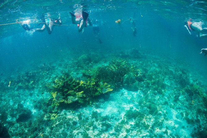 Mujeres Island Tour by Catamaran from Cancun City - Should You Book This Isla Mujeres Catamaran Tour?