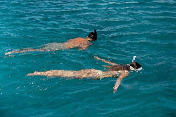 Mykonos: Brand-New Catamaran Cruise with Meal, Drinks & Transport - Who should book this cruise?