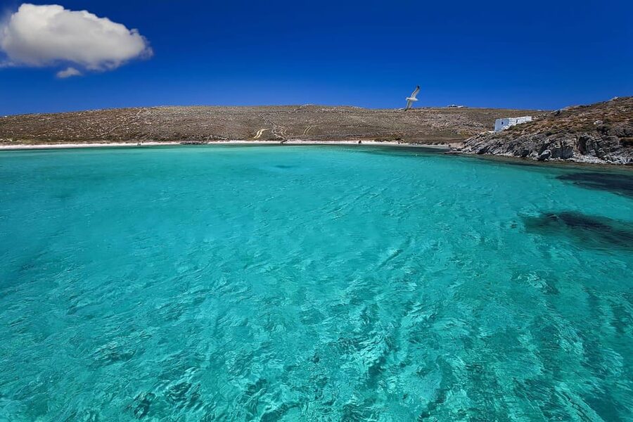 Mykonos Catamaran Delos Rhenia semi private cruise - Who will enjoy this cruise most?