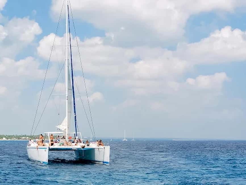 Naples: Catamaran Cruises with Wildlife Views - Key Points to Know Before You Go