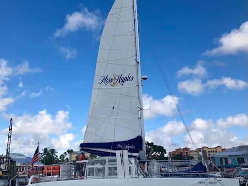 Naples: Catamaran Cruises with Wildlife Views - Beach Shelling for Families and Curious Collectors