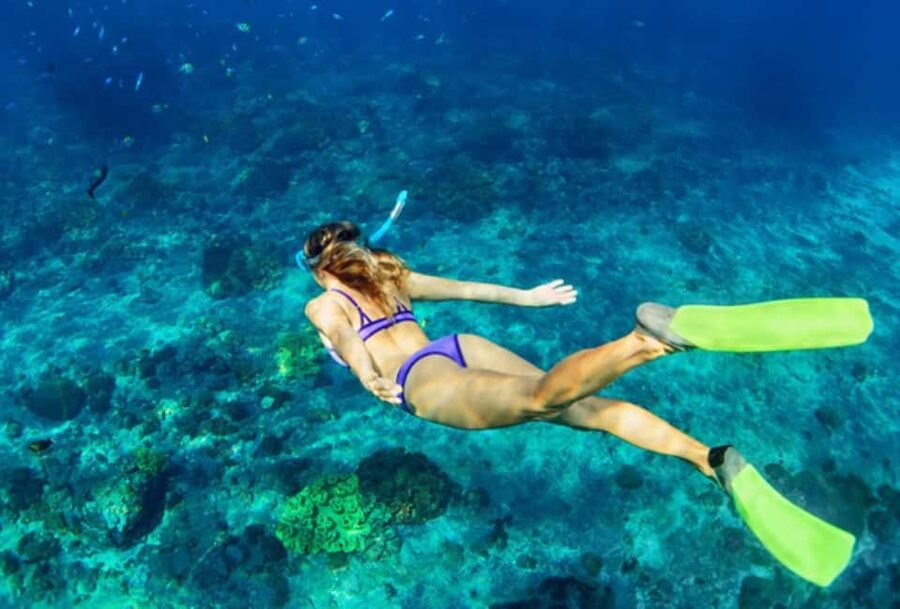 Nassau: Catamaran Sail and Snorkel Tour - A lively way to see Nassau from the sea