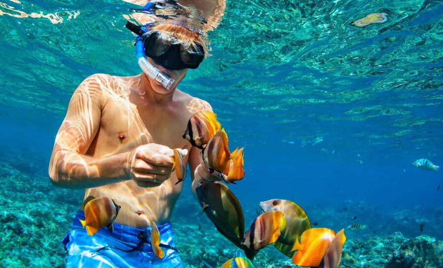 Nassau: Catamaran Sail and Snorkel Tour - What the reef stop is really like