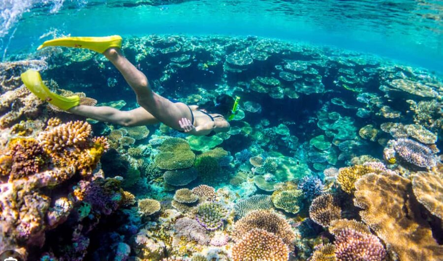 Nassau: Catamaran Sail and Snorkel Tour - Who will enjoy this Nassau tour most?
