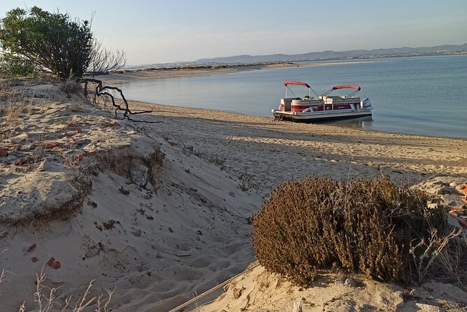 Nature Catamaran Tour from Faro - A short boat trip into Ria Formosa