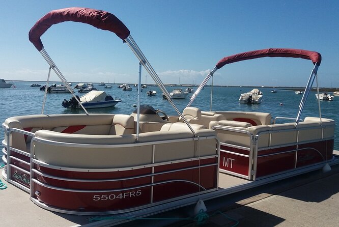 Nature Catamaran Tour from Faro - Meeting at Faro’s marina