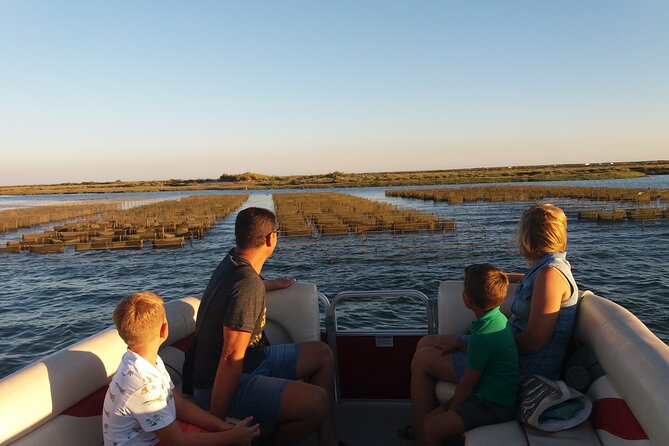 Nature Catamaran Tour from Faro - The sunset timing can shape the whole outing