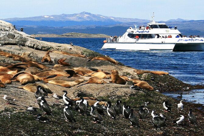 Navigation to Beagle Channel and Sea Lions Island with Transfers - From Ushuaia’s pier to the old prison