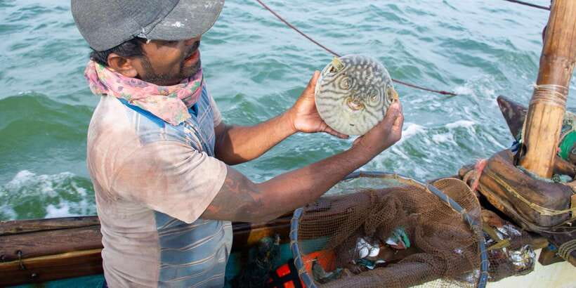 Negombo: Catamaran Sailing with Traditional Fishermen - From the harbor into Negombo Lagoon