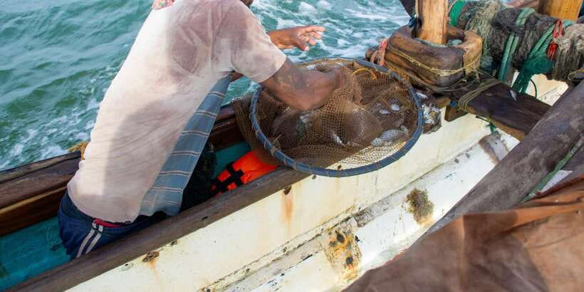 Negombo: Catamaran Sailing with Traditional Fishermen - Two hours on the Indian Ocean