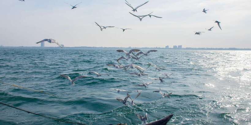 Negombo: Catamaran Sailing with Traditional Fishermen - What Tharaka adds to the experience