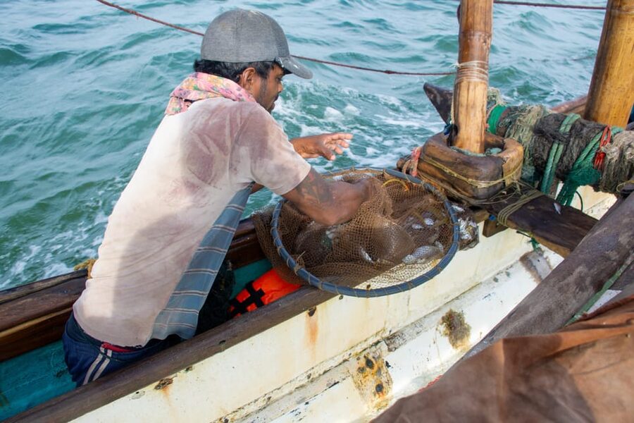 Negombo: Catamaran Sailing with Traditional Fishermen - Is $132 good value?