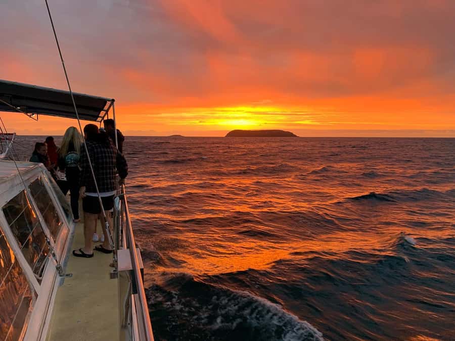 Nelson Bay: Whale and Dolphin Watching Catamaran Cruise - Booking, Cancellation, and Practical Timing