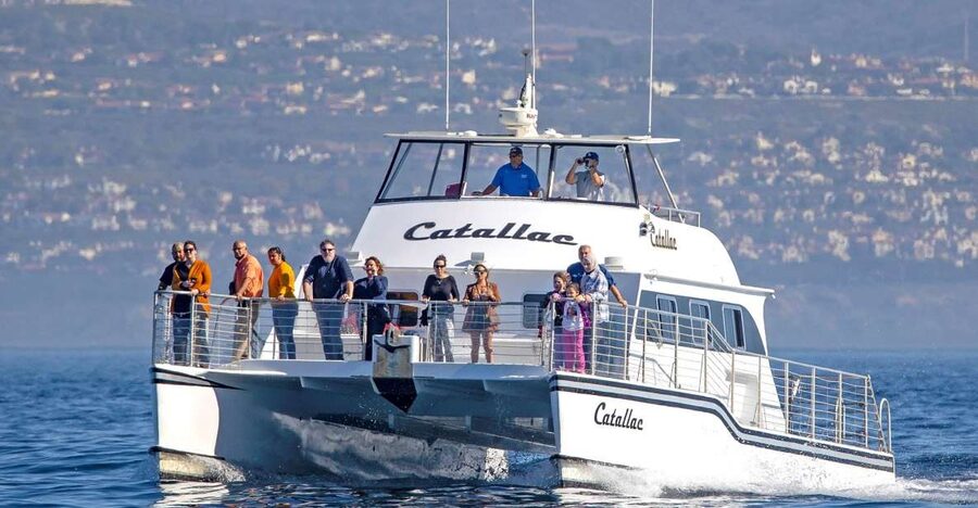 Newport Beach: Luxury Whale Watching Catamaran Cruise - What the 150-minute route feels like