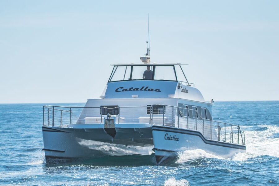 Newport Beach: Luxury Whale Watching Catamaran Cruise - Is $58 a fair price?