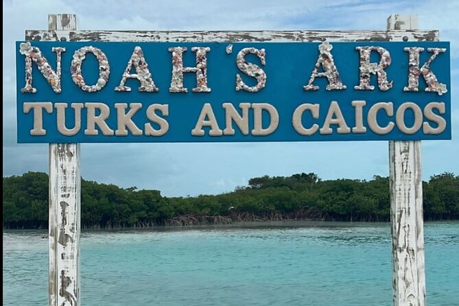 Noahs Ark Catamaran Trip - Cruising Past Grace Bay