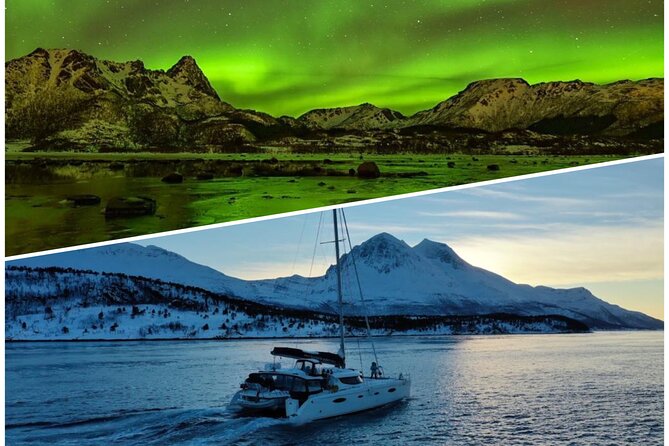 Northern Light Cruise With Luxury Catamaran in Tromso, Norway - Key points to know before you book