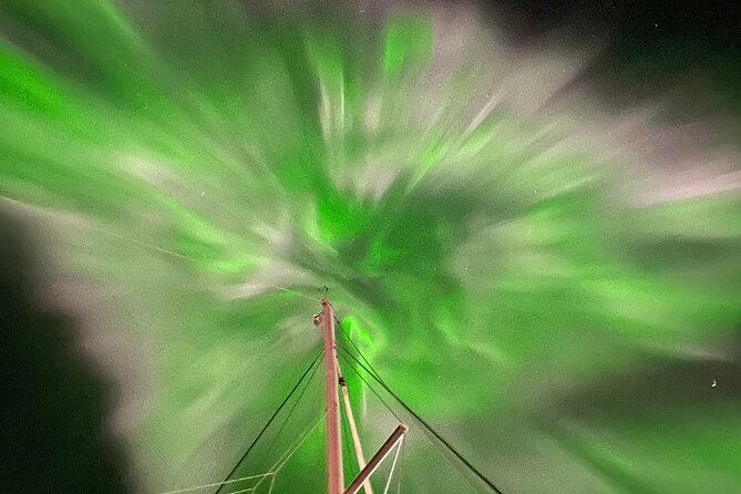 Northern Light Cruise With Luxury Catamaran in Tromso, Norway - The catamaran net and the night sky