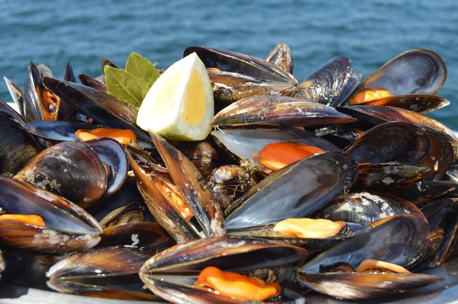 O Grove: Ría de Arousa Catamaran Tour with Seafood Lunch - My verdict: book it for food and a relaxed half-day