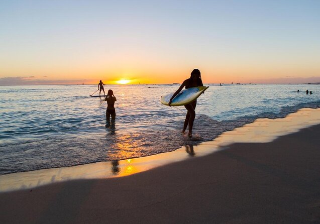 Oahu Catamaran Snorkel Tour: See Turtles 100% Guaranteed - Key points to know before booking