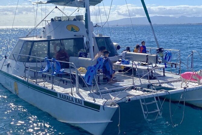 Oahu Catamaran Snorkel Tour: See Turtles 100% Guaranteed - How the turtle encounter works