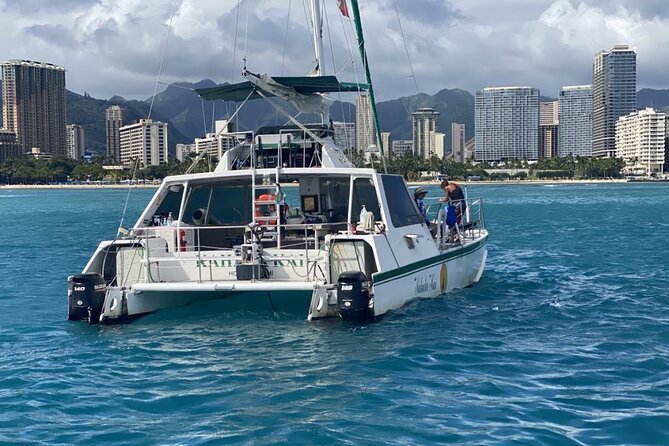 Oahu Catamaran Snorkel Tour: See Turtles 100% Guaranteed - The ride back can bring extra wildlife