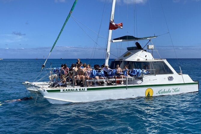 Oahu Catamaran Snorkel Tour: See Turtles 100% Guaranteed - Safety, swimming ability, and families