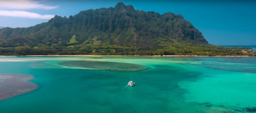 Oahu: Molii Fishpond and Kaneohe Bay Catamaran Tour - Watching for turtles in Kaneohe Bay