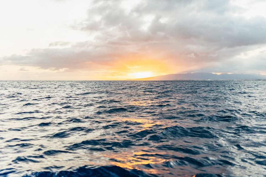 Oahu: Waikiki Sunset Catamaran Cocktail Cruise - Key points to know before booking
