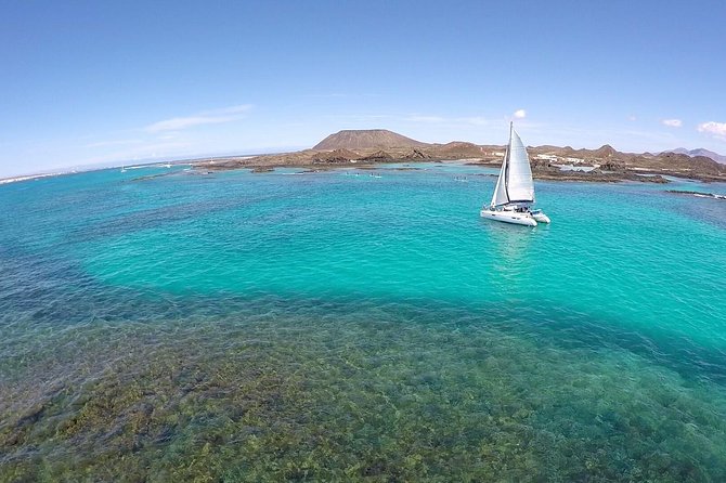 OBY Catamaran - How the $83.48 price holds up