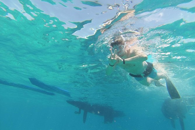OBY Catamaran - Seeing Isla de Lobos from the water