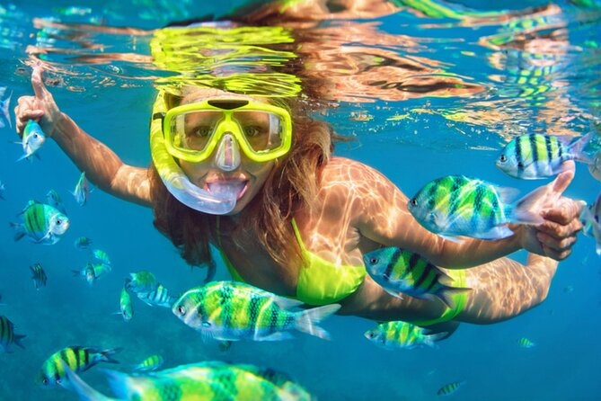 Ocean Catamaran Cruise Ibiza with Unlimited Drinks and BBQ - Cala Bassa and its clear water