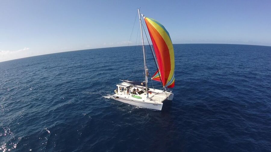 Ocean City: Sailing Catamaran Cruise with Crew - Sailing behind Assateague Island or across the Atlantic