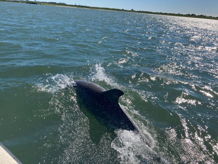 Ocean City: Sailing Catamaran Cruise with Crew - When the diesel engines cut off