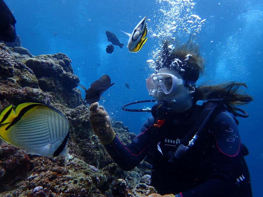 Onna: Blue Cave Snorkeling from Catamaran - What the $35 price really covers