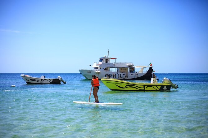 Ophelia Catamaran Cruises + Beach BBQ - Coastal views from a slower, steadier boat