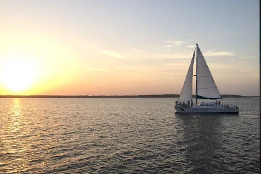 Orange Beach: Dolphin & Sailing Cruise Aboard 52' Catamaran - Key details at a glance
