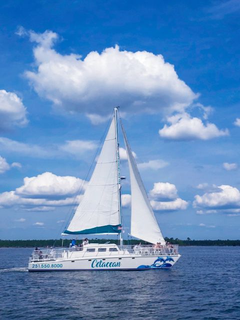 Orange Beach: Dolphin & Sailing Cruise Aboard 52' Catamaran - Setting sail from Orange Beach