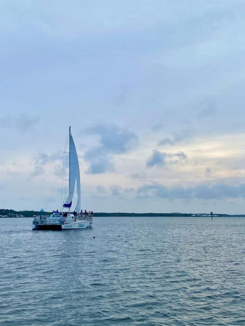 Orange Beach: Dolphin & Sailing Cruise Aboard 52' Catamaran - Dolphins and wildlife around Wolf Bay