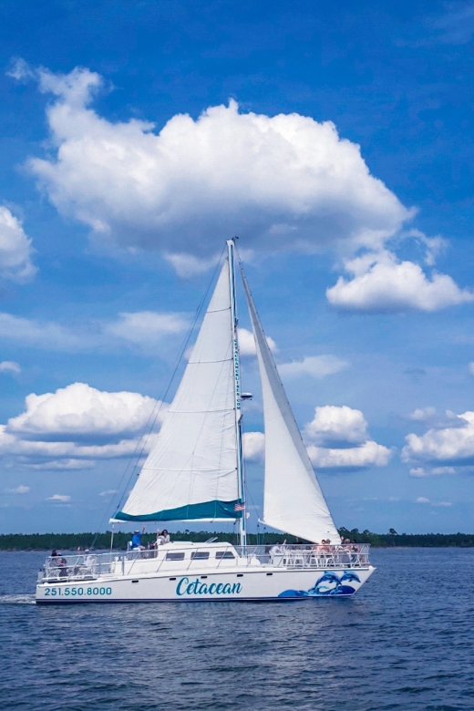 Orange Beach: Dolphin & Sailing Cruise Aboard 52' Catamaran - The $55 price and what it covers