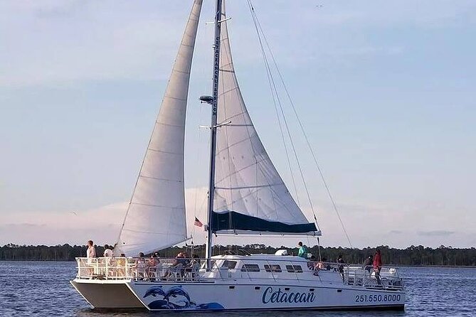 Orange Beach Dolphin Sailing Cruise aboard Catamaran - The main limitations to consider