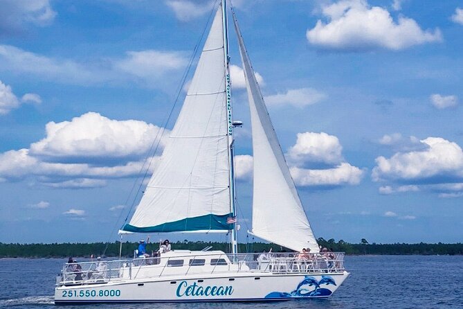 Orange Beach Dolphin Sailing Cruise aboard Catamaran - What The Cetacean feels like underway