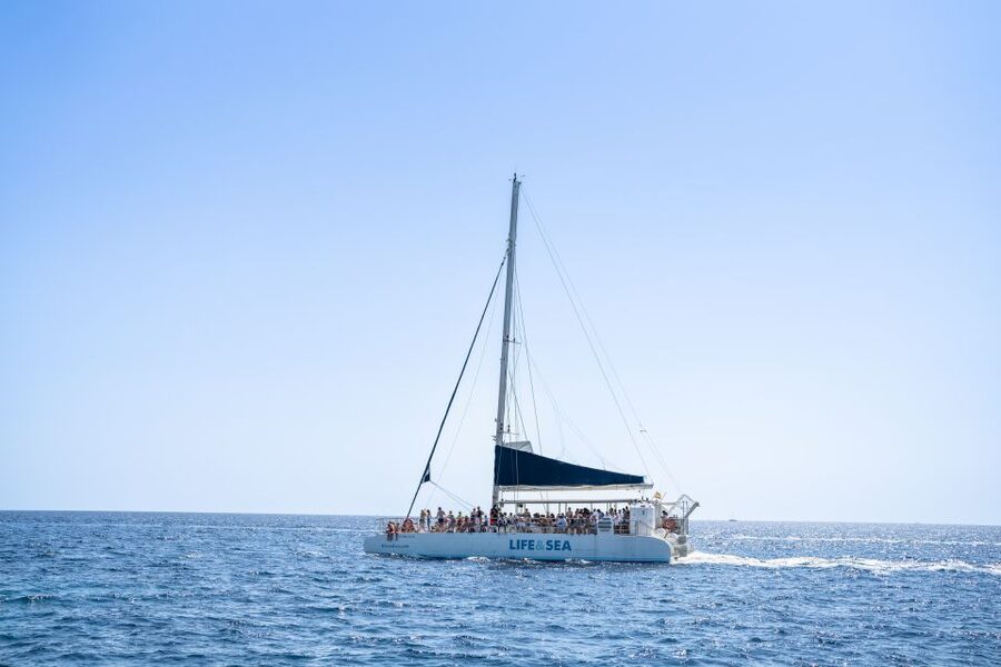 Palma: Catamaran Cruise with Swimming and Snorkelling - Cala Vella and the clear-water swim