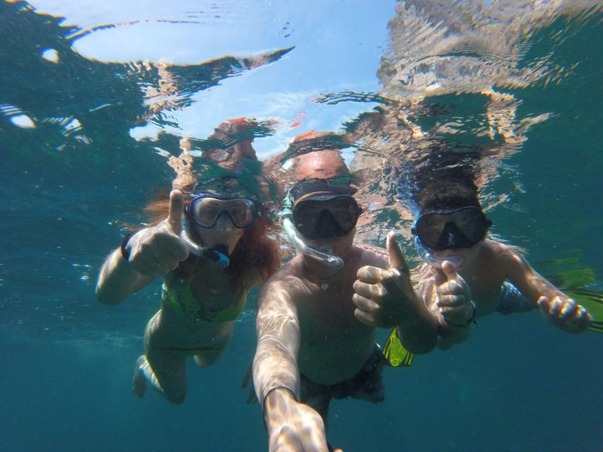 Palma: Cueva Verde and Cala Vella Catamaran Cruise with BBQ - The return to Palma can be the best part